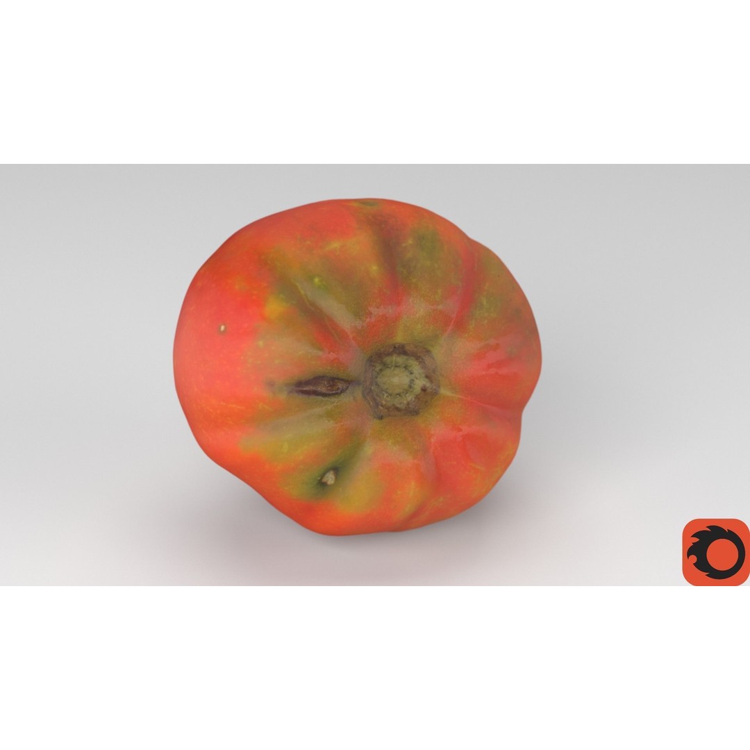 Photorealistic Tomato 3D Model – High Poly PBR Asset, FBX, OBJ - View 35