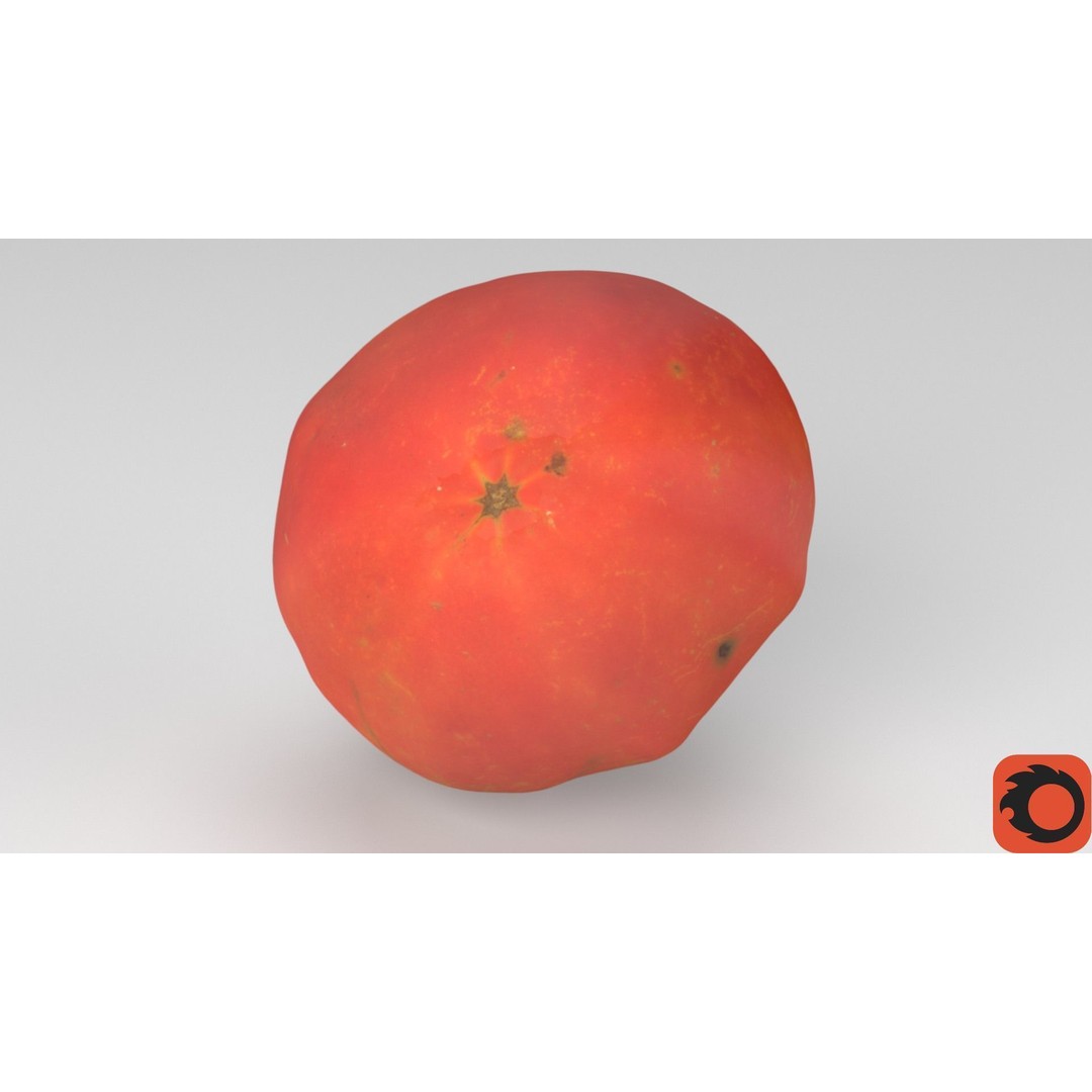 Photorealistic Tomato 3D Model – High Poly PBR Asset, FBX, OBJ - View 36