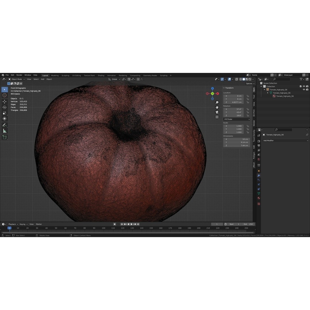 Photorealistic Tomato 3D Model – High Poly PBR Asset, FBX, OBJ - View 37