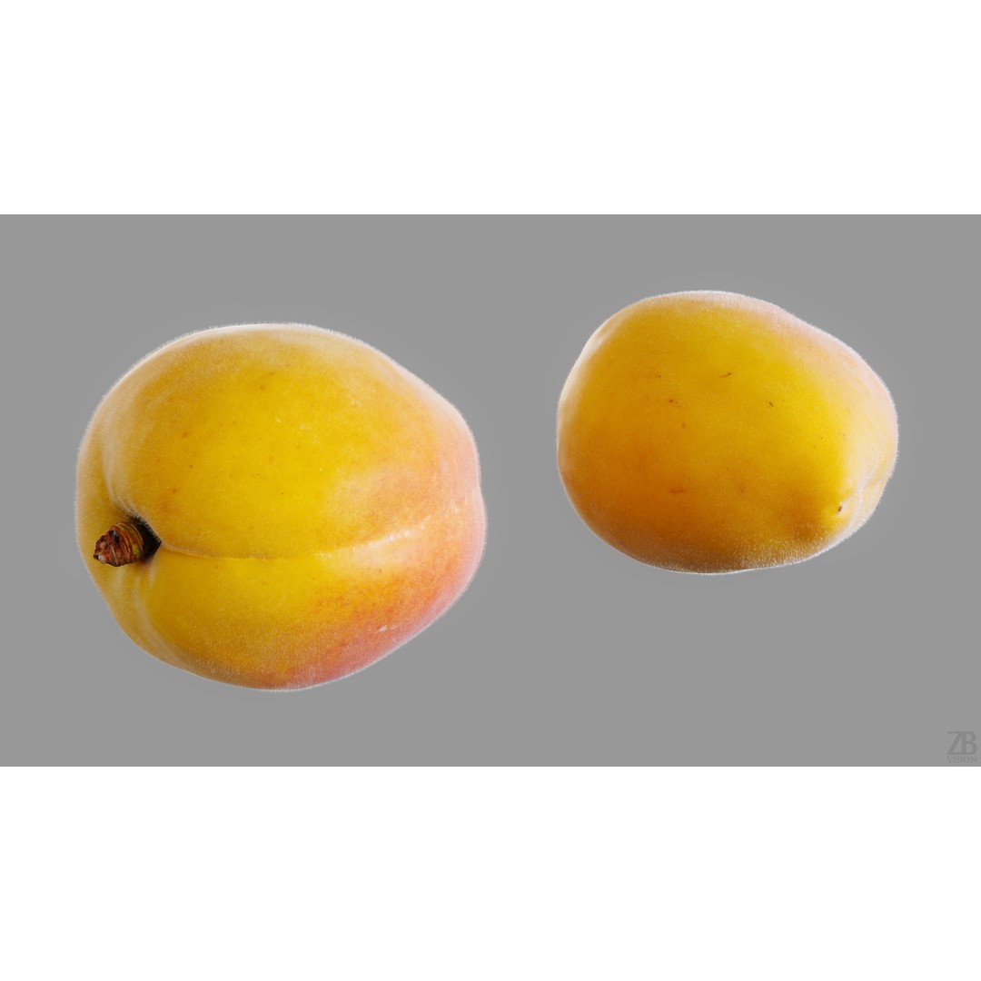 Apricot 3D Model – Photorealistic Fruit Asset, FBX, OBJ