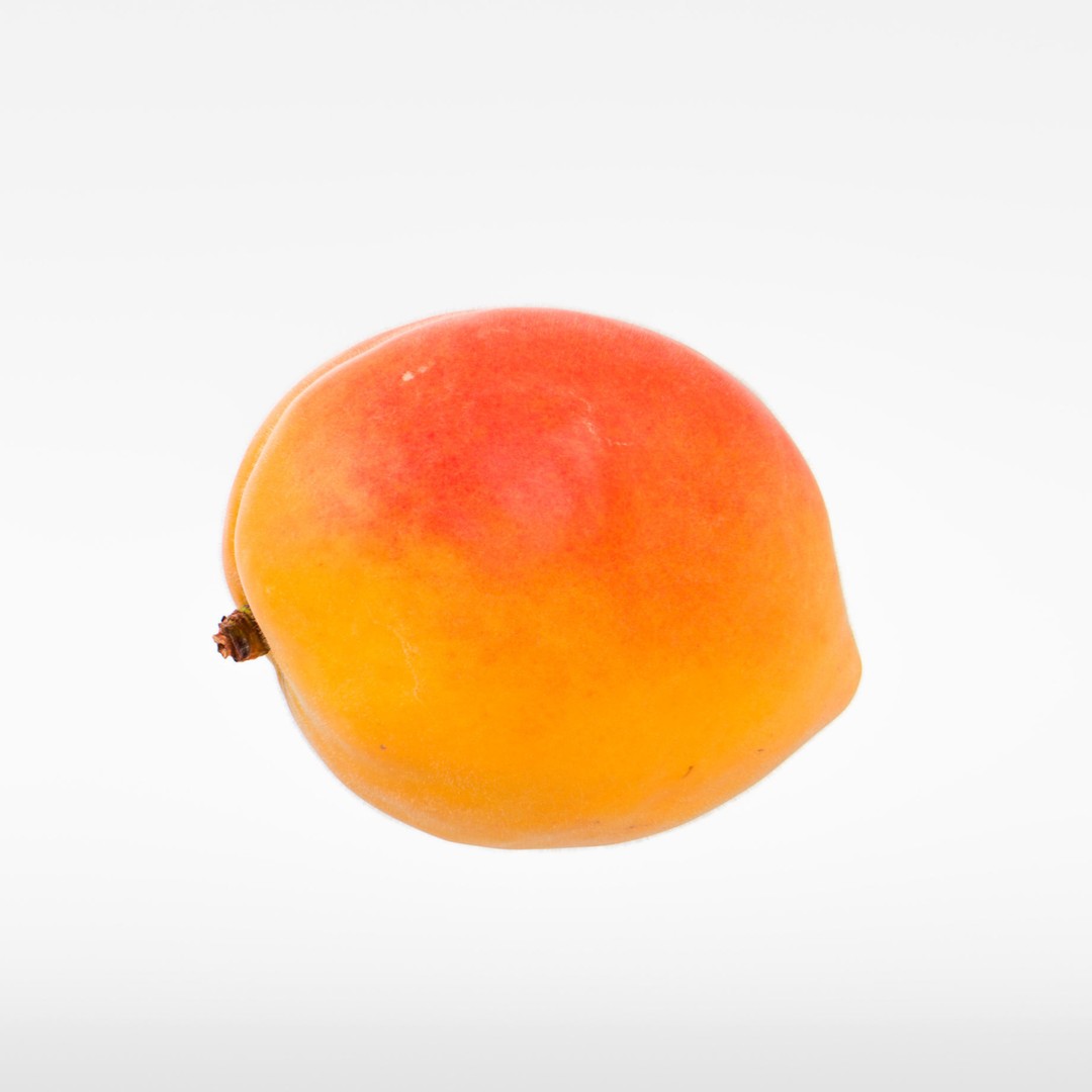 Apricot 3D Model – Photorealistic Fruit Asset, FBX, OBJ - View 10