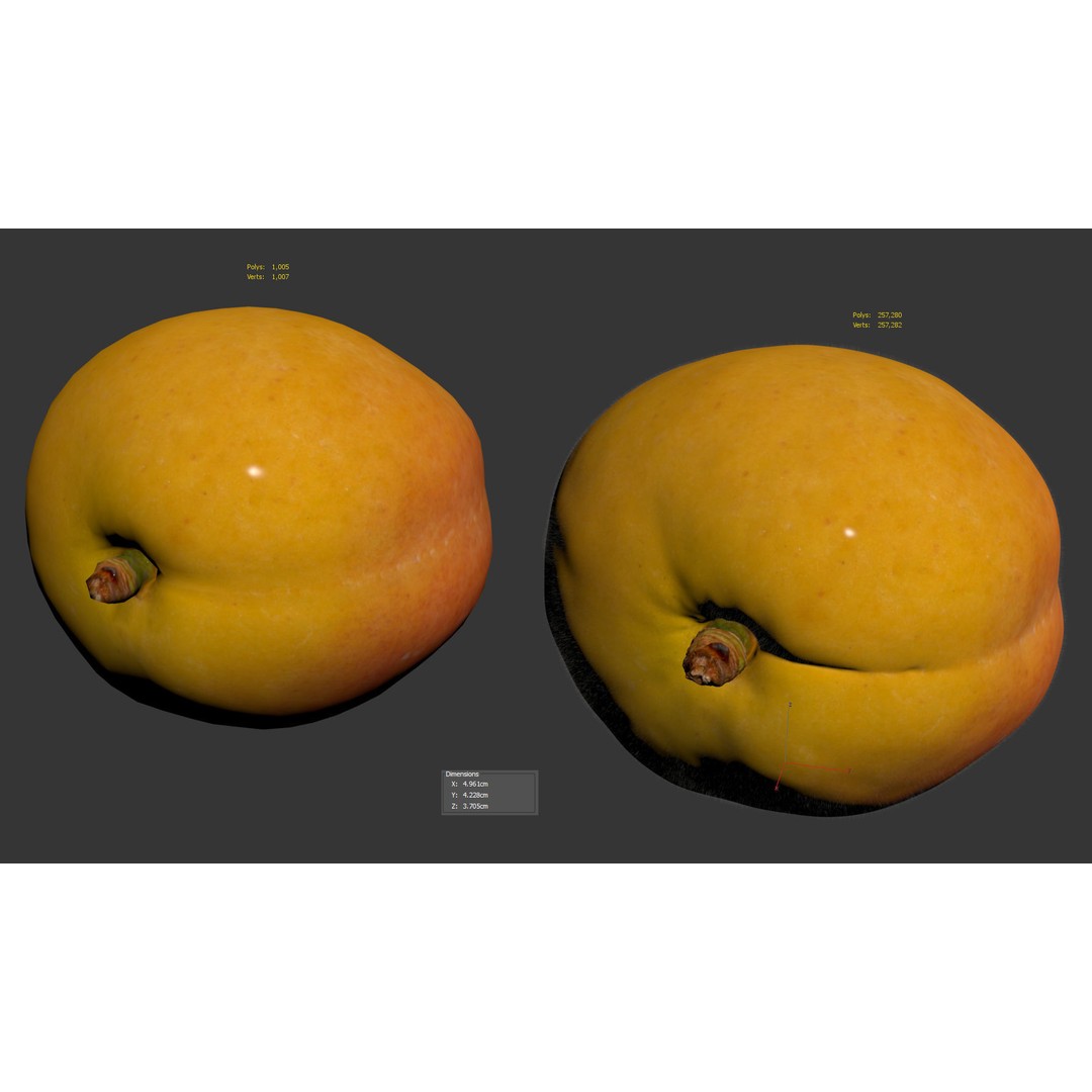 Apricot 3D Model – Photorealistic Fruit Asset, FBX, OBJ - View 11