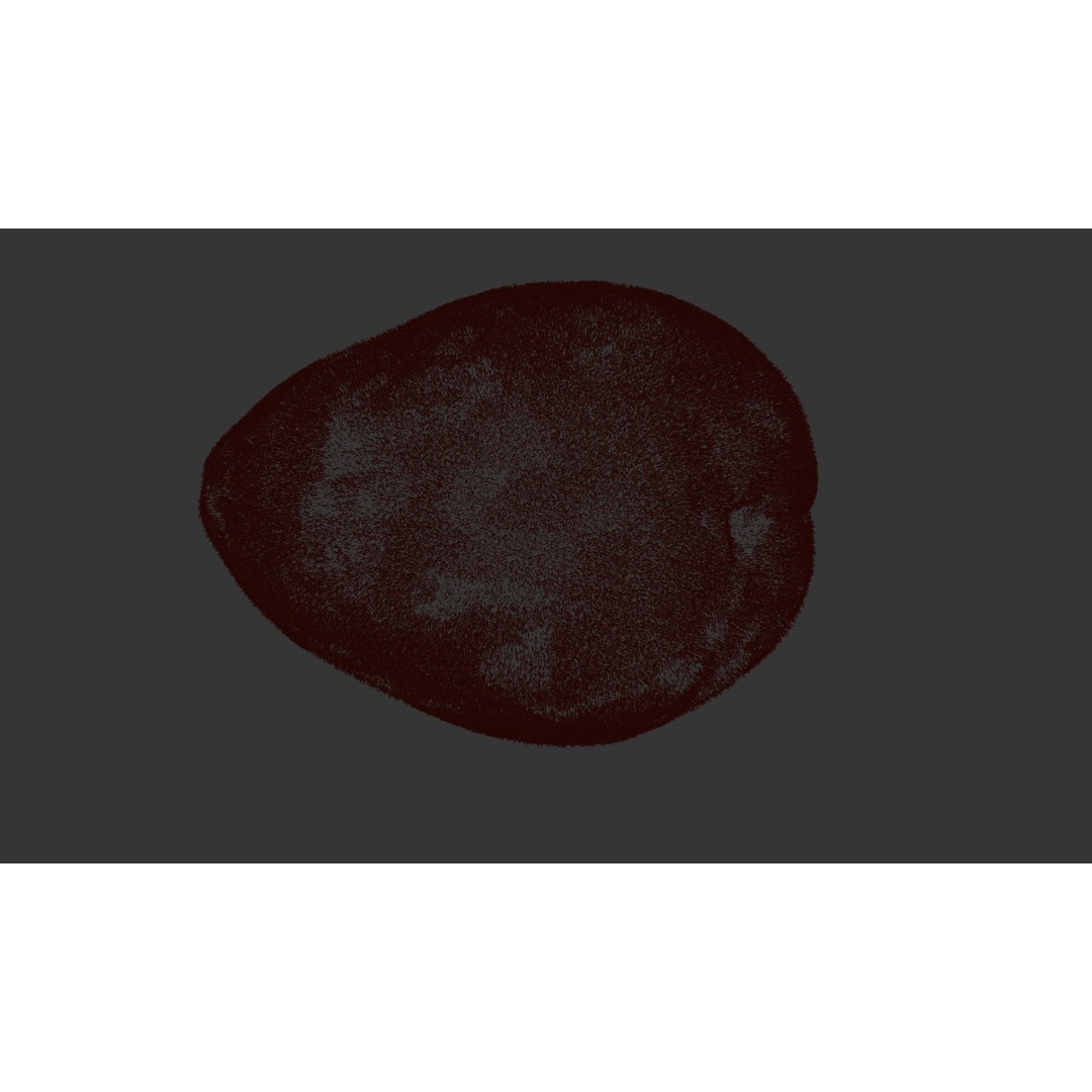 Apricot 3D Model – Photorealistic Fruit Asset, FBX, OBJ - View 13