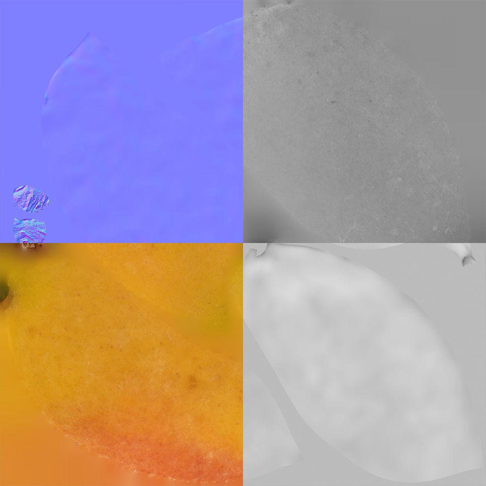 Apricot 3D Model – Photorealistic Fruit Asset, FBX, OBJ - View 14