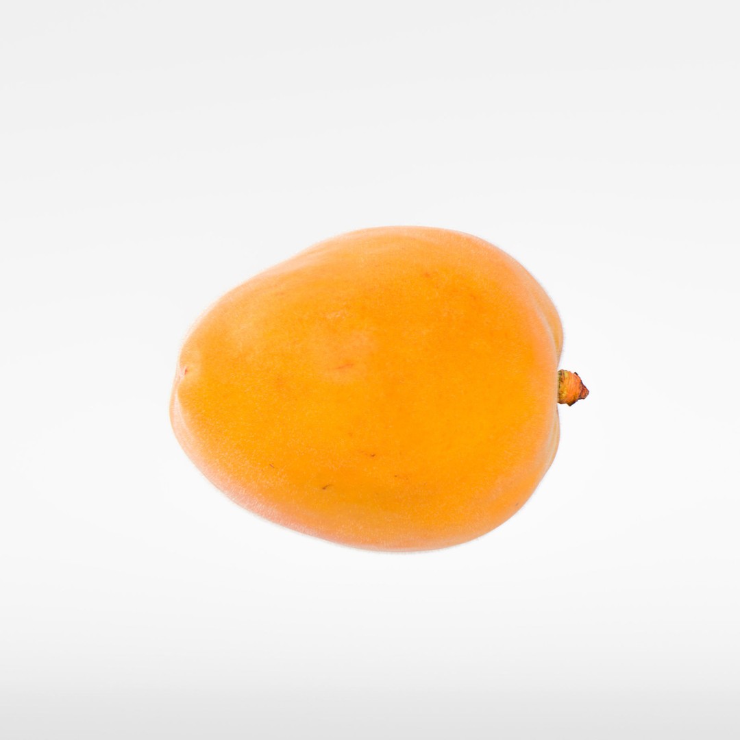 Apricot 3D Model – Photorealistic Fruit Asset, FBX, OBJ - View 7