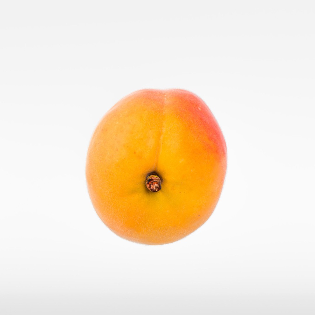 Apricot 3D Model – Photorealistic Fruit Asset, FBX, OBJ - View 8