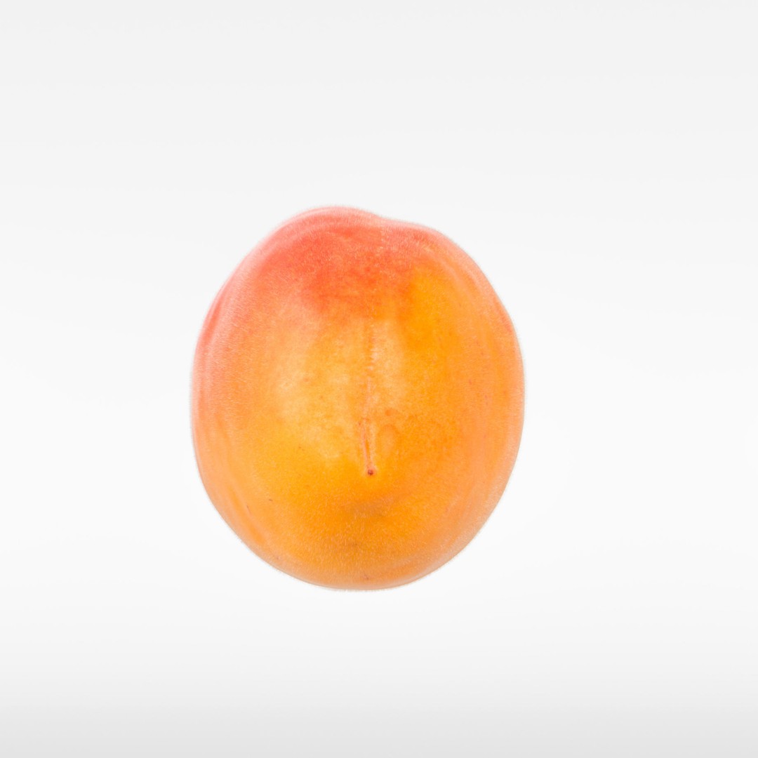 Apricot 3D Model – Photorealistic Fruit Asset, FBX, OBJ - View 9