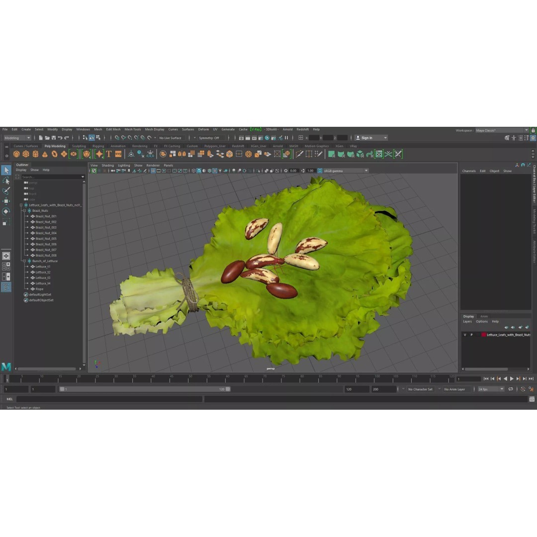 Lettuce Leaves with Brazil Nuts 3D Model – High Poly Culinary Asset, FBX