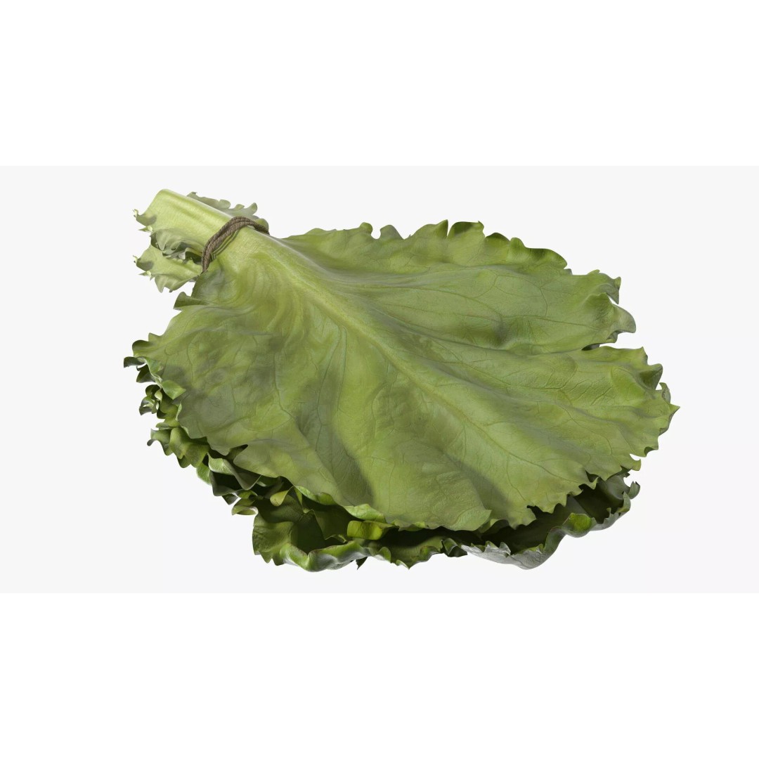Lettuce Leaves with Brazil Nuts 3D Model – High Poly Culinary Asset, FBX - View 10