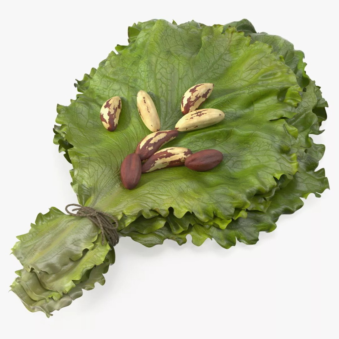 Lettuce Leaves with Brazil Nuts 3D Model – High Poly Culinary Asset, FBX - View 11