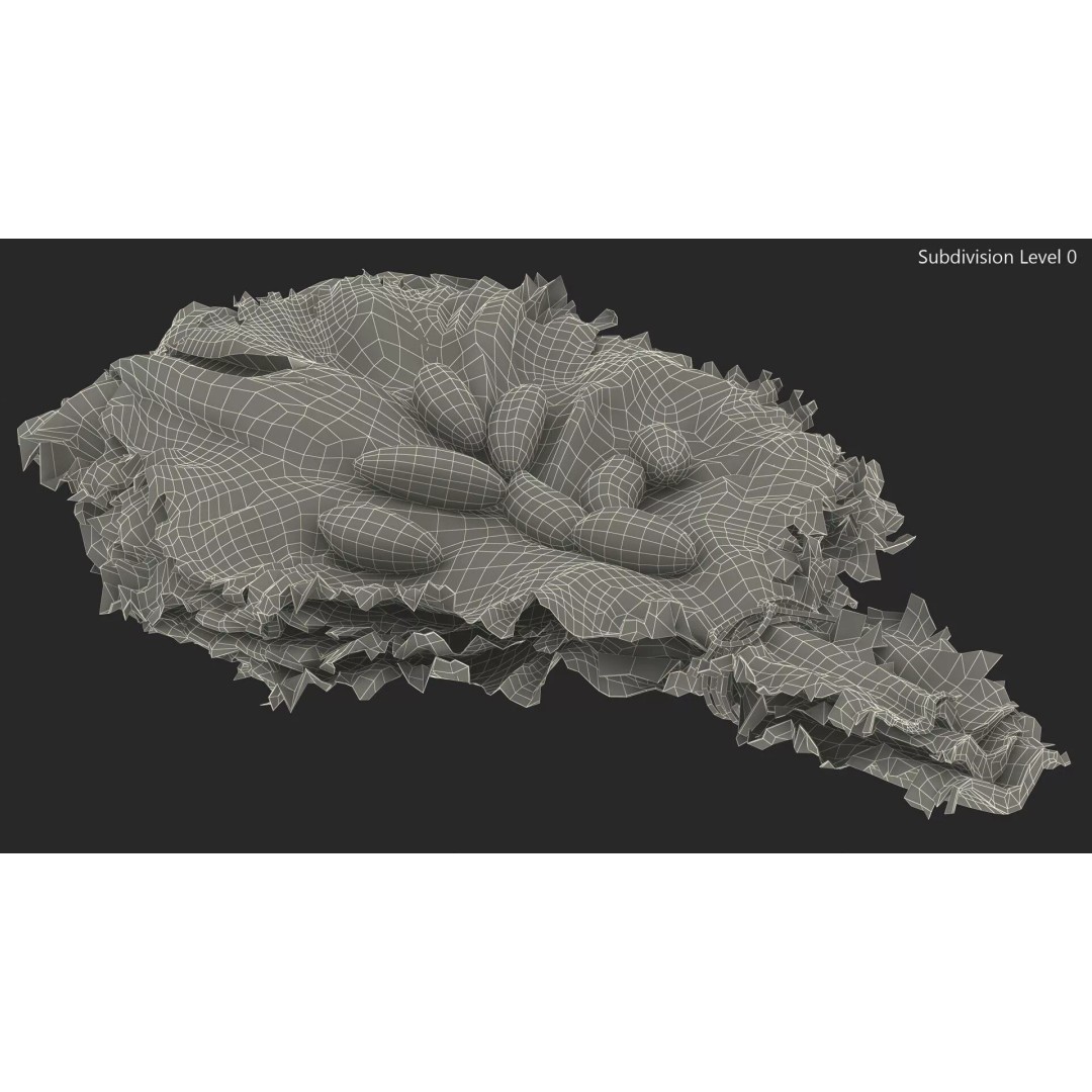 Lettuce Leaves with Brazil Nuts 3D Model – High Poly Culinary Asset, FBX - View 16