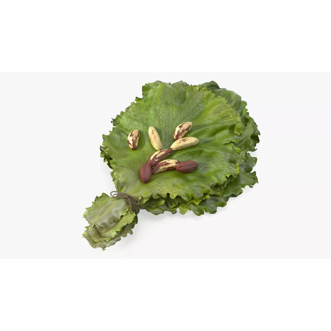 Lettuce Leaves with Brazil Nuts 3D Model – High Poly Culinary Asset, FBX - View 2