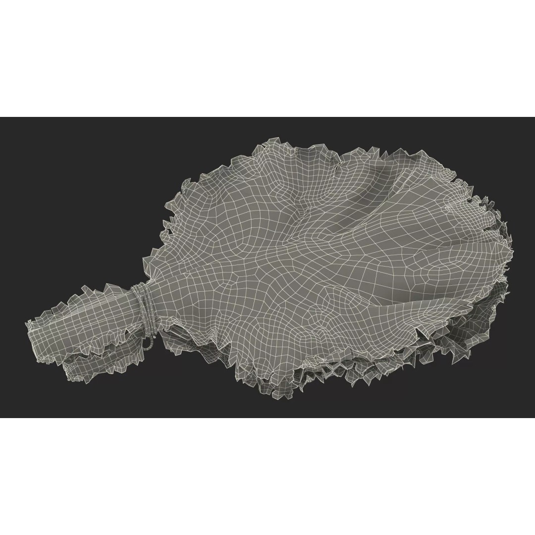 Lettuce Leaves with Brazil Nuts 3D Model – High Poly Culinary Asset, FBX - View 23