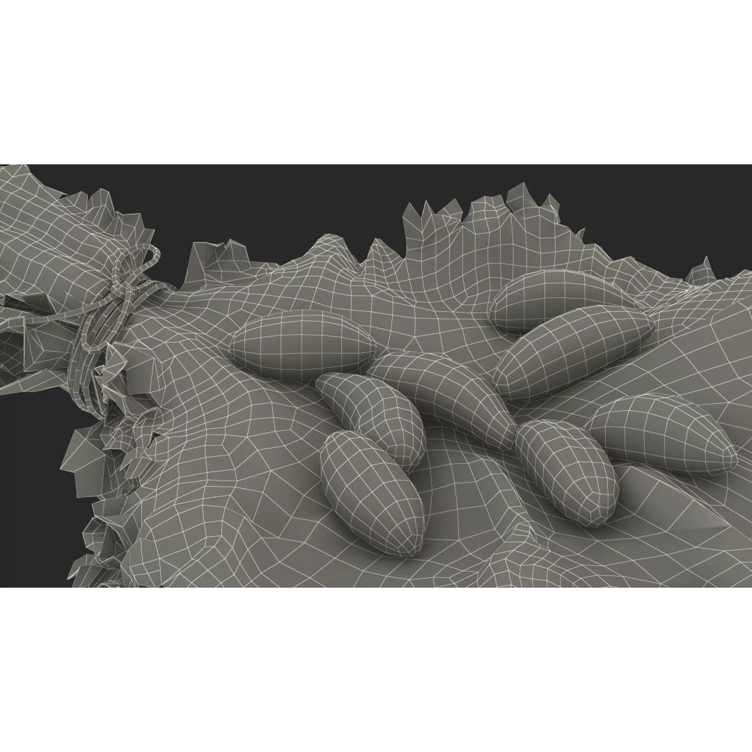 Lettuce Leaves with Brazil Nuts 3D Model – High Poly Culinary Asset, FBX - View 24