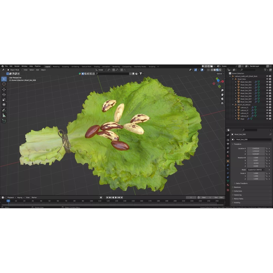 Lettuce Leaves with Brazil Nuts 3D Model – High Poly Culinary Asset, FBX - View 27