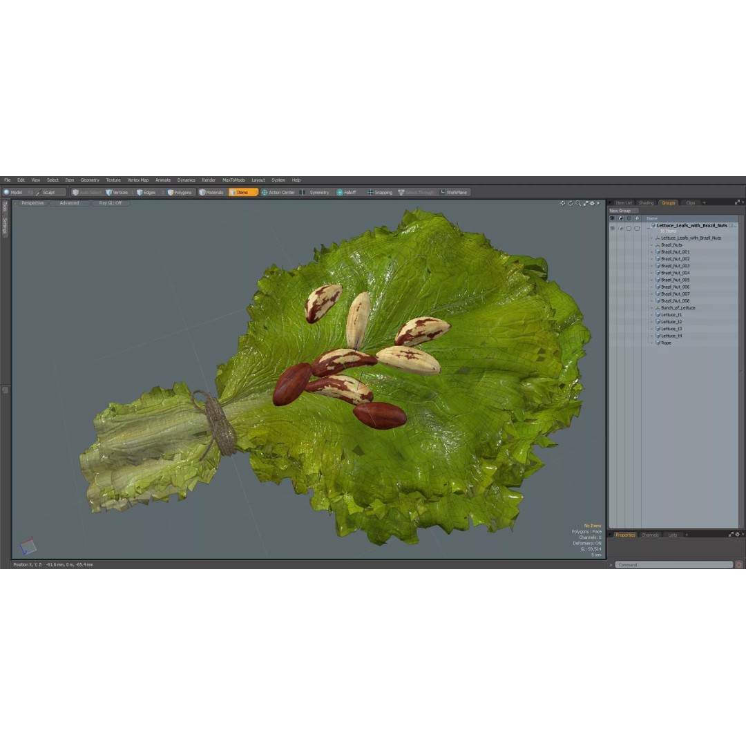 Lettuce Leaves with Brazil Nuts 3D Model – High Poly Culinary Asset, FBX - View 28