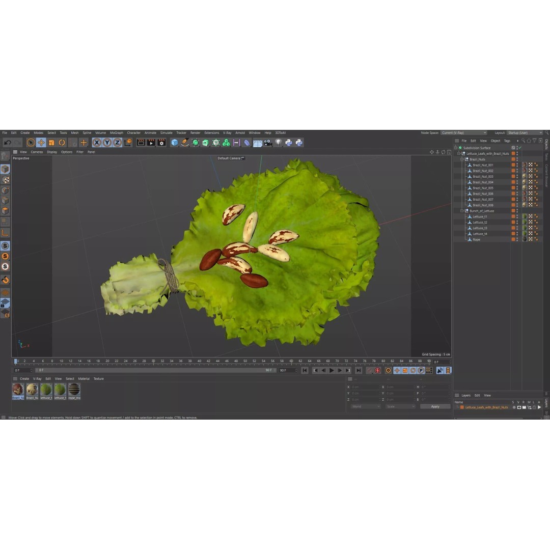 Lettuce Leaves with Brazil Nuts 3D Model – High Poly Culinary Asset, FBX - View 29