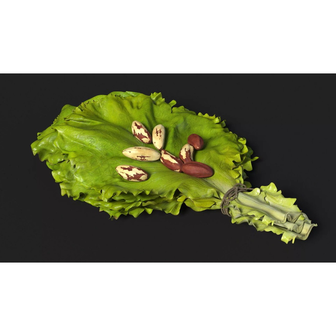 Lettuce Leaves with Brazil Nuts 3D Model – High Poly Culinary Asset, FBX - View 5