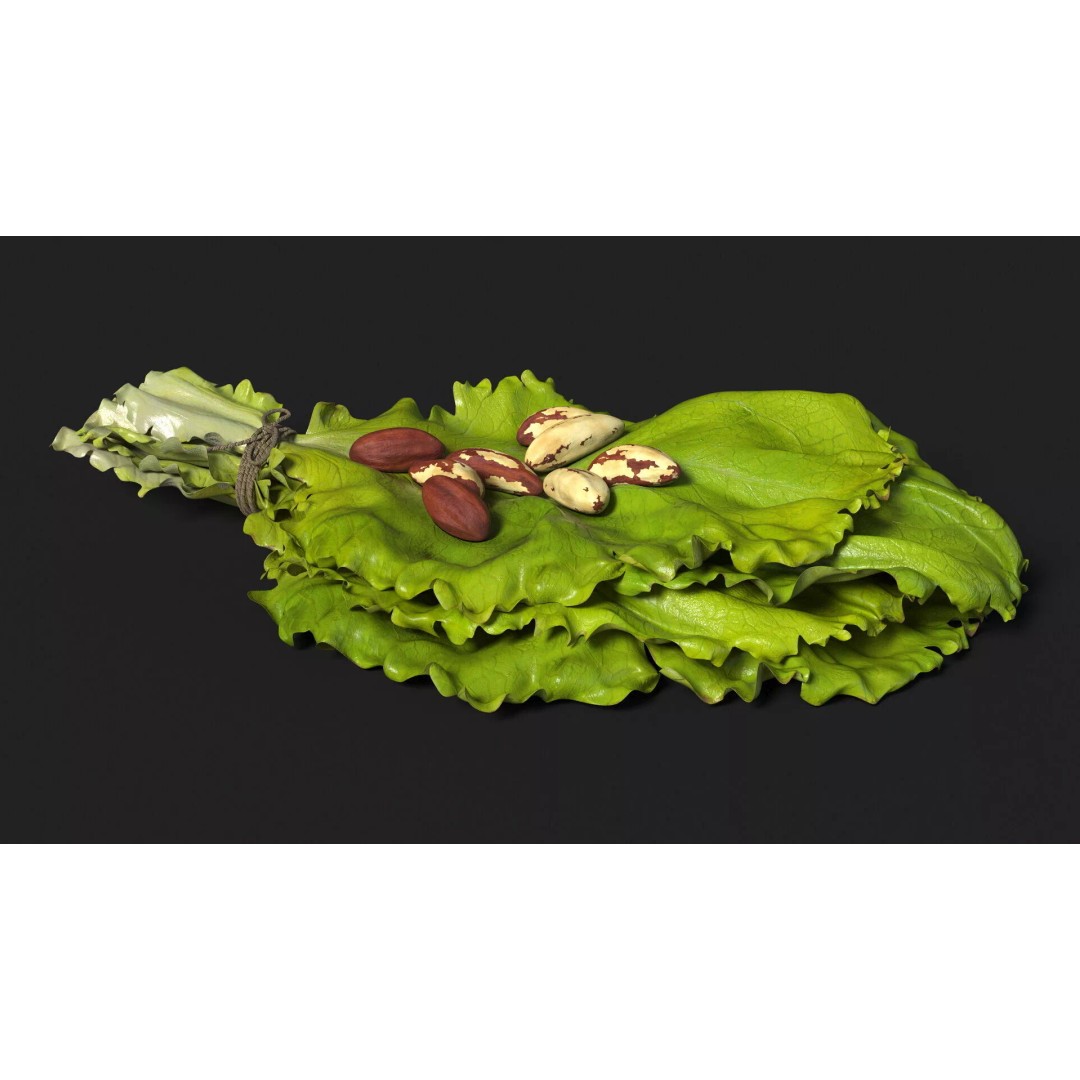Lettuce Leaves with Brazil Nuts 3D Model – High Poly Culinary Asset, FBX - View 6