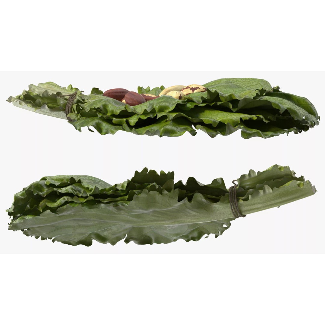 Lettuce Leaves with Brazil Nuts 3D Model – High Poly Culinary Asset, FBX - View 7