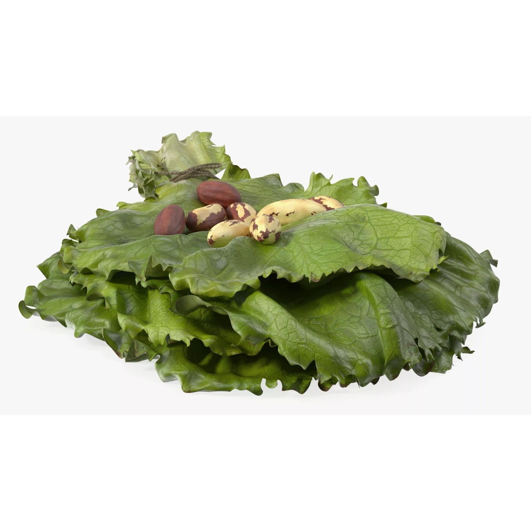 Lettuce Leaves with Brazil Nuts 3D Model – High Poly Culinary Asset, FBX - View 8
