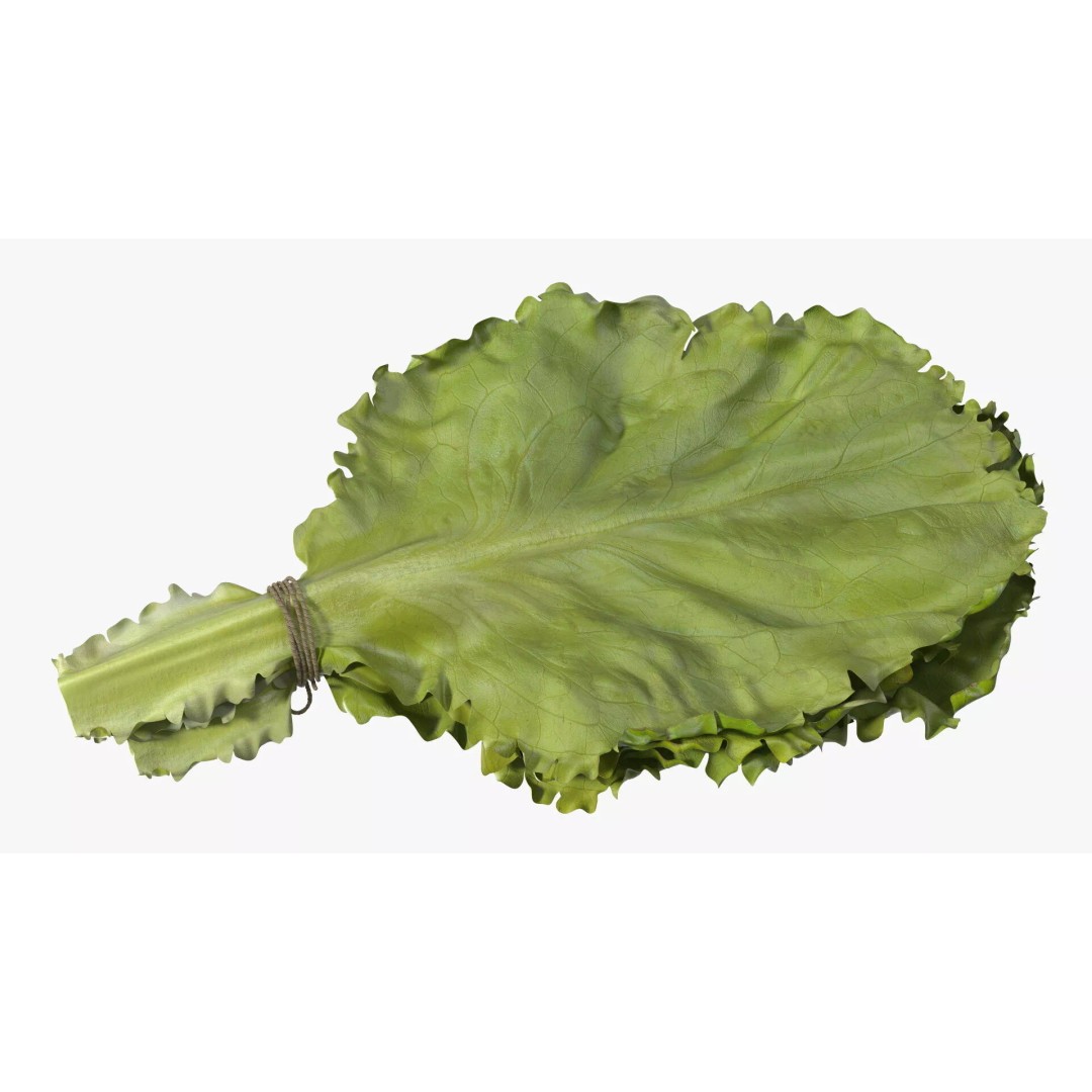 Lettuce Leaves with Brazil Nuts 3D Model – High Poly Culinary Asset, FBX - View 9
