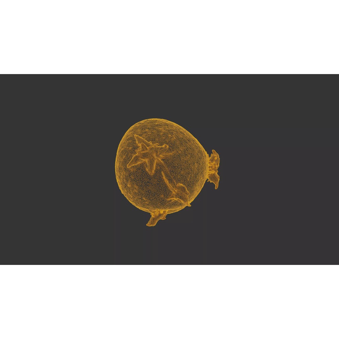 Sprouted Potato 3D Model – Photogrammetry Low-Poly Game Asset, FBX - View 23