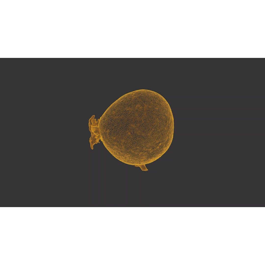 Sprouted Potato 3D Model – Photogrammetry Low-Poly Game Asset, FBX - View 27