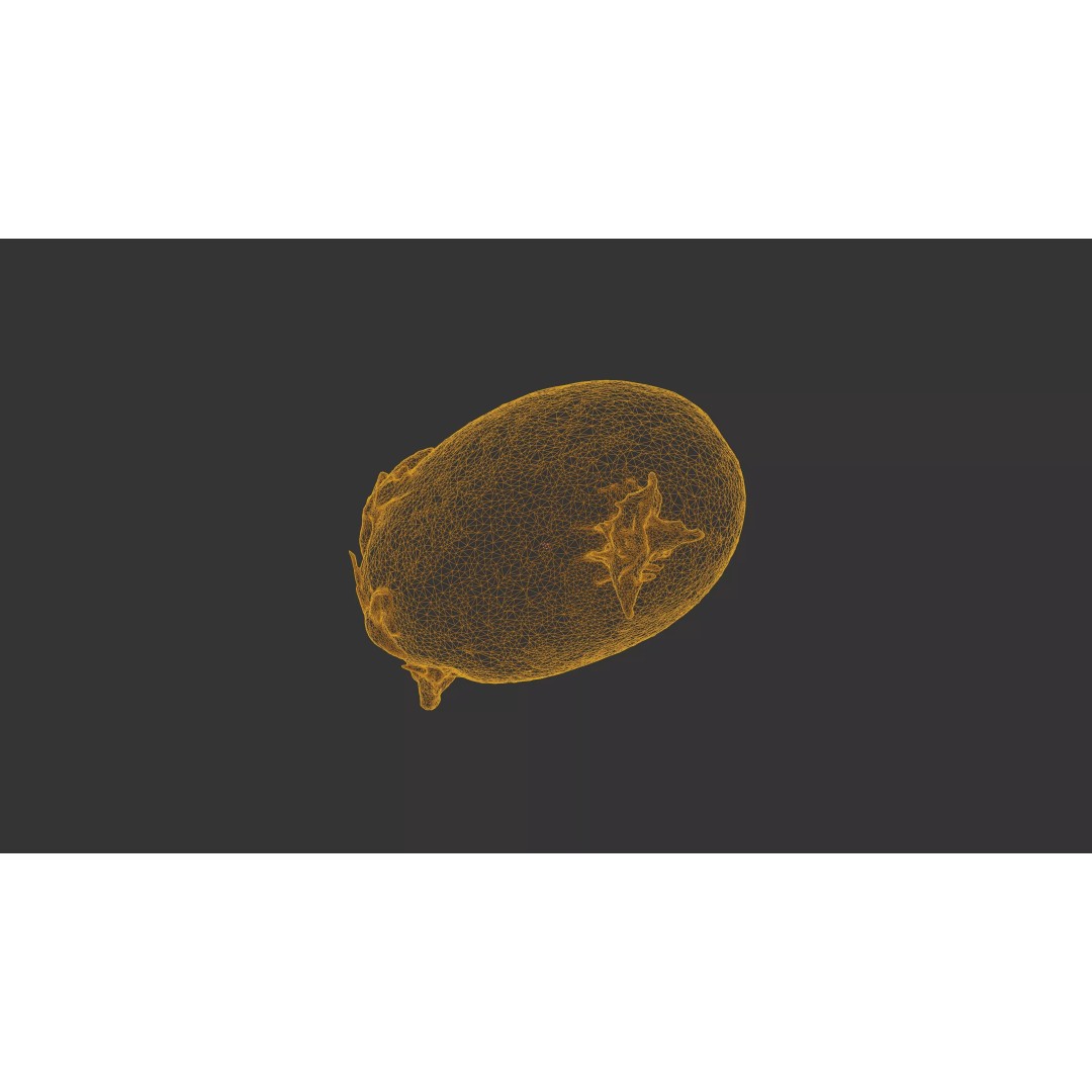 Sprouted Potato 3D Model – Photogrammetry Low-Poly Game Asset, FBX - View 28