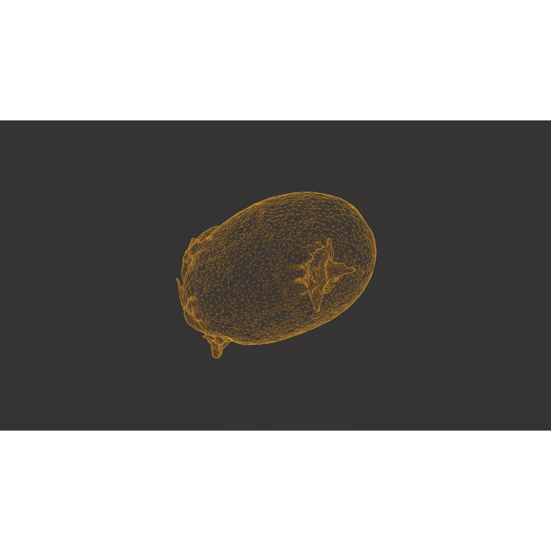Sprouted Potato 3D Model – Photogrammetry Low-Poly Game Asset, FBX - View 29