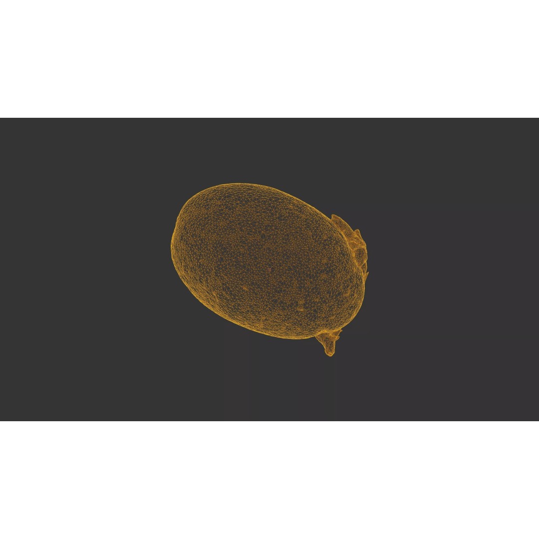 Sprouted Potato 3D Model – Photogrammetry Low-Poly Game Asset, FBX - View 30