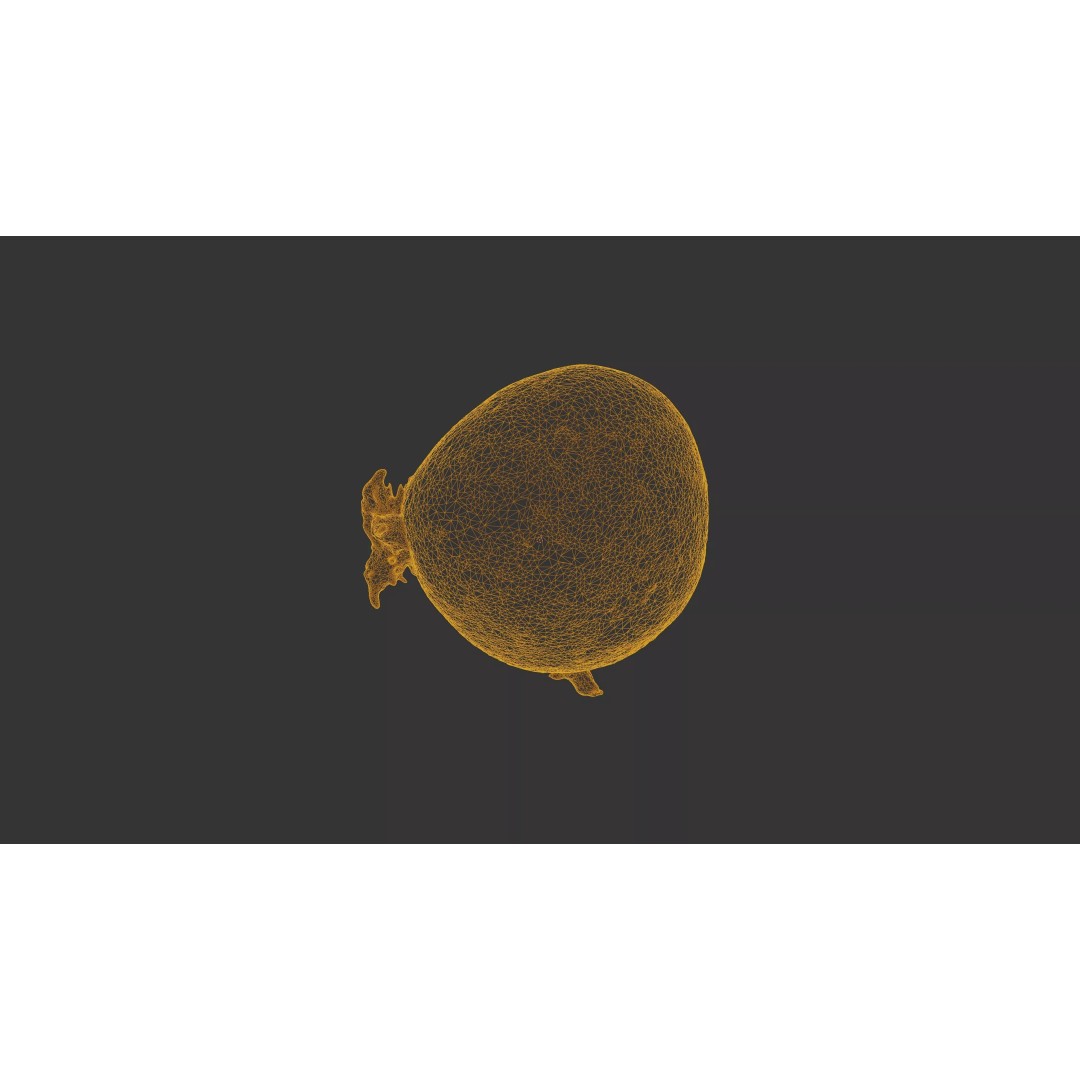 Sprouted Potato 3D Model – Photogrammetry Low-Poly Game Asset, FBX - View 31