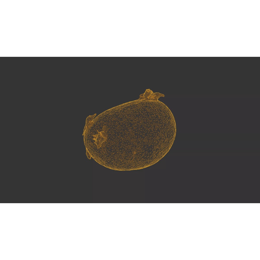 Sprouted Potato 3D Model – Photogrammetry Low-Poly Game Asset, FBX - View 33
