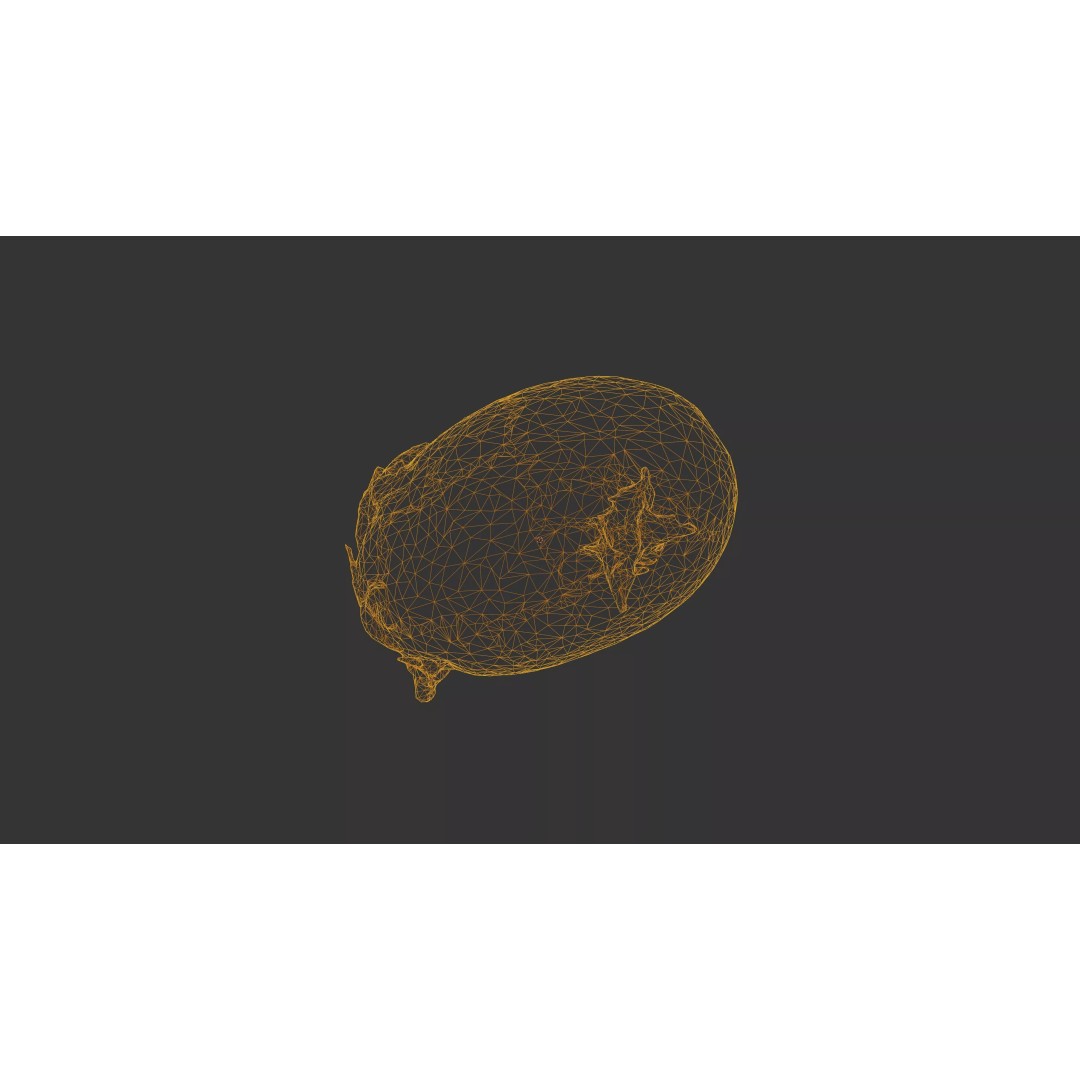 Sprouted Potato 3D Model – Photogrammetry Low-Poly Game Asset, FBX - View 34