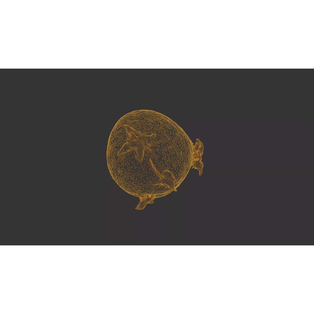 Sprouted Potato 3D Model – Photogrammetry Low-Poly Game Asset, FBX - View 36