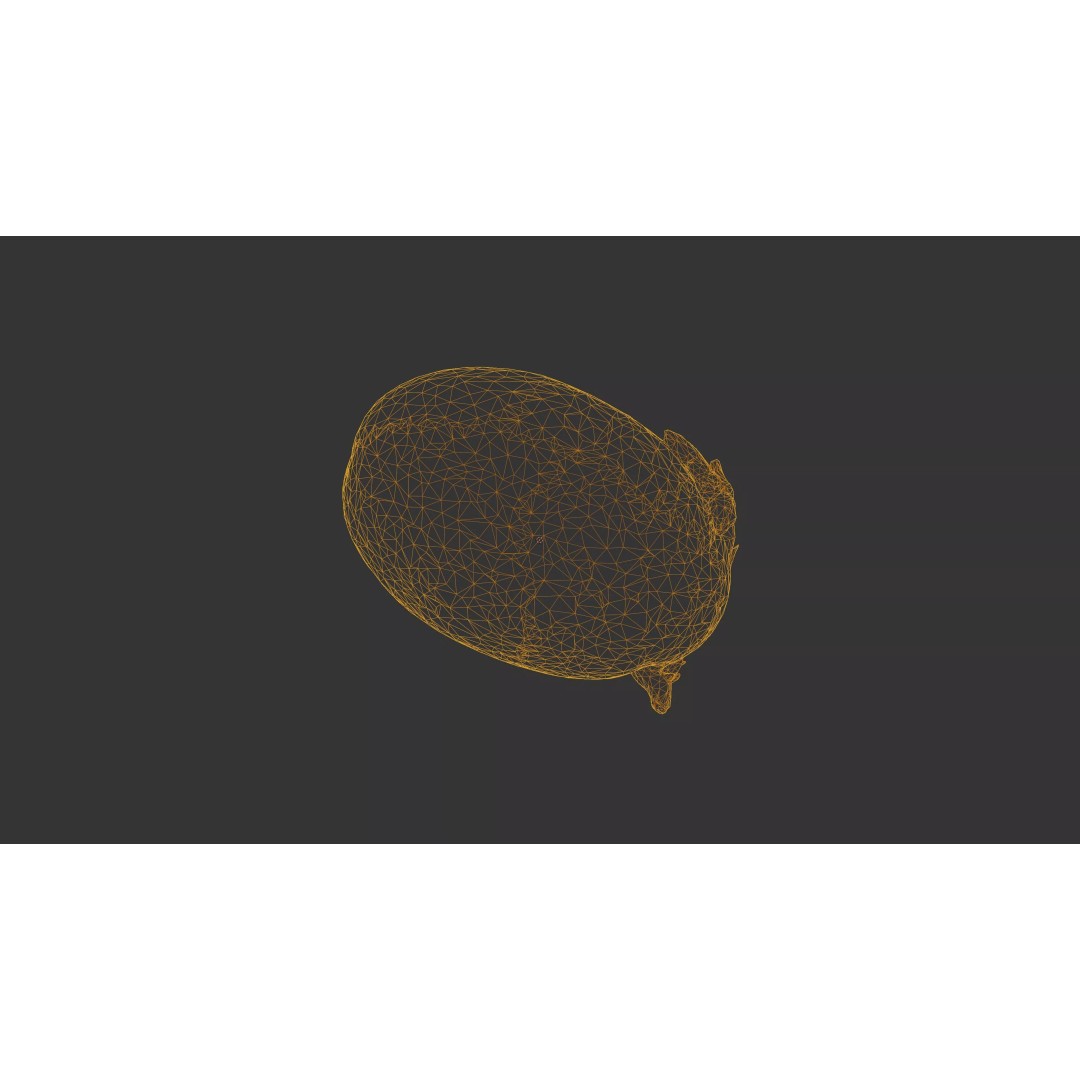 Sprouted Potato 3D Model – Photogrammetry Low-Poly Game Asset, FBX - View 37