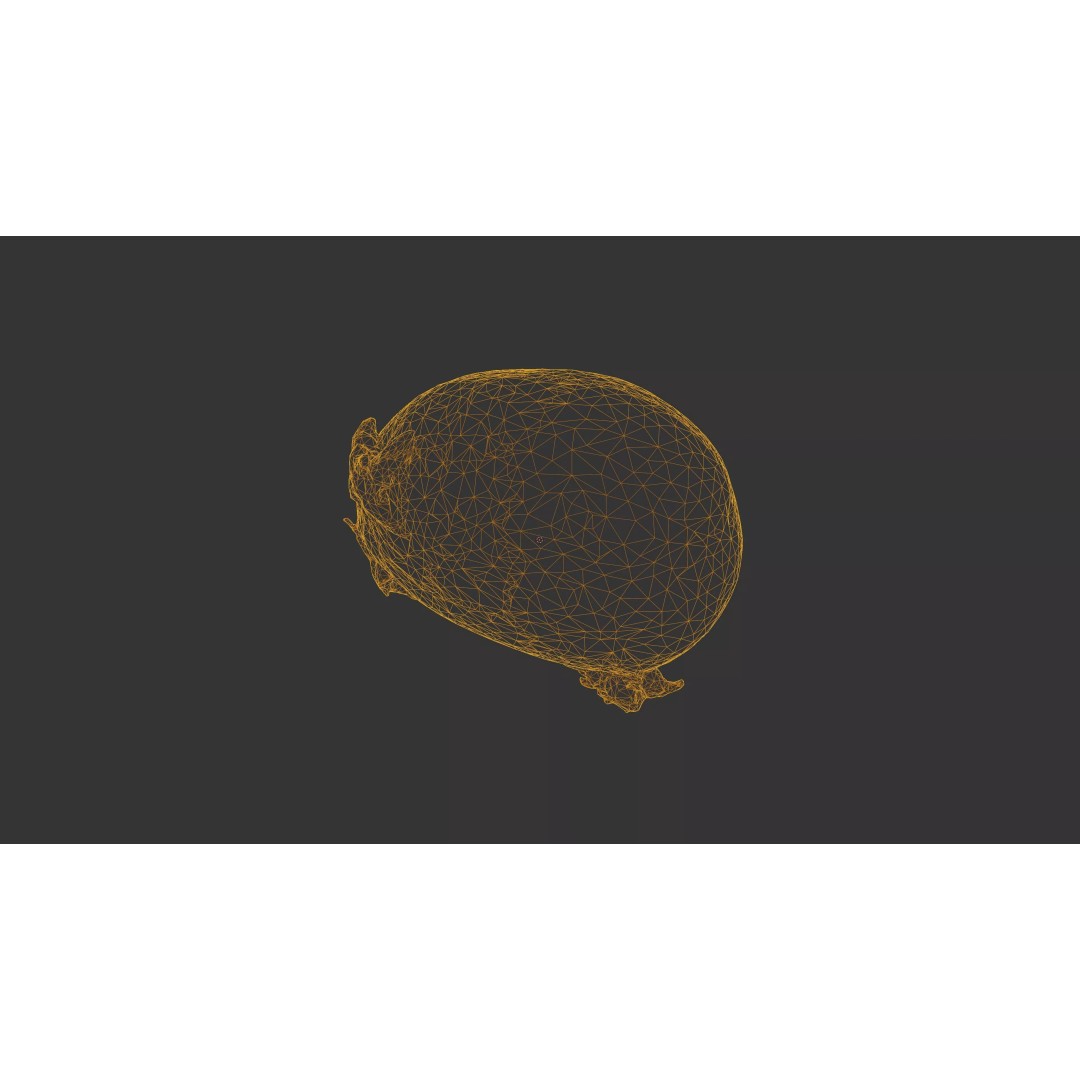 Sprouted Potato 3D Model – Photogrammetry Low-Poly Game Asset, FBX - View 38