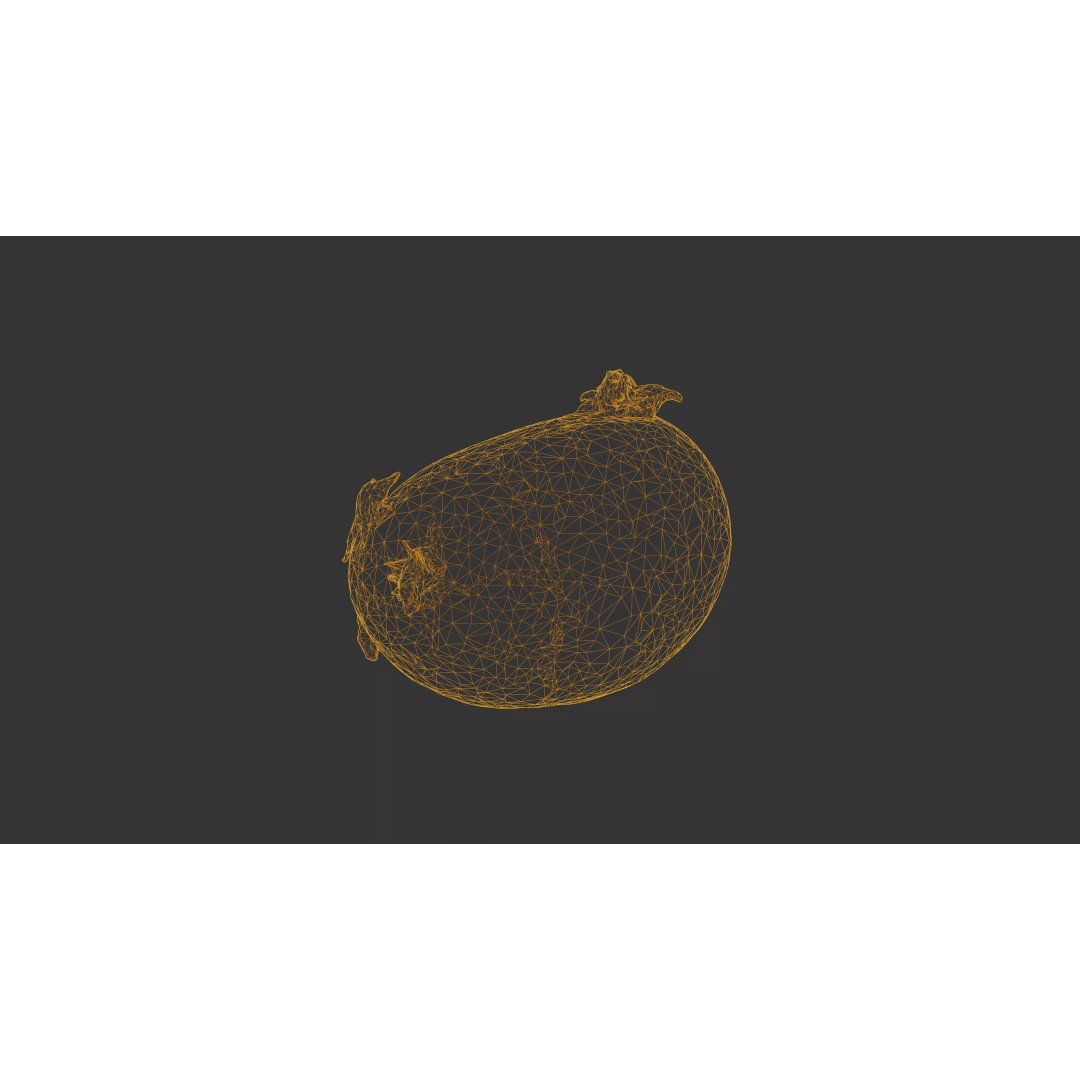 Sprouted Potato 3D Model – Photogrammetry Low-Poly Game Asset, FBX - View 39