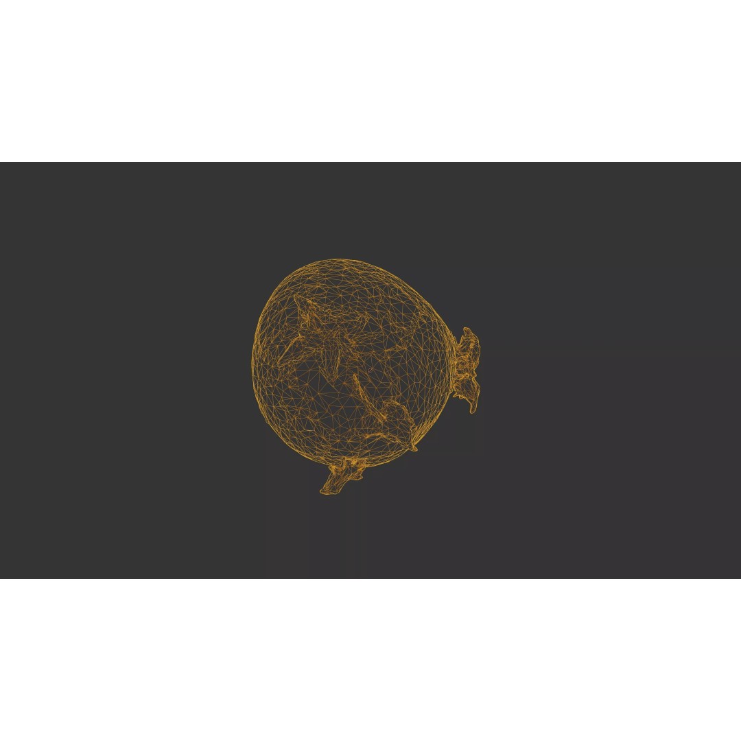 Sprouted Potato 3D Model – Photogrammetry Low-Poly Game Asset, FBX - View 40