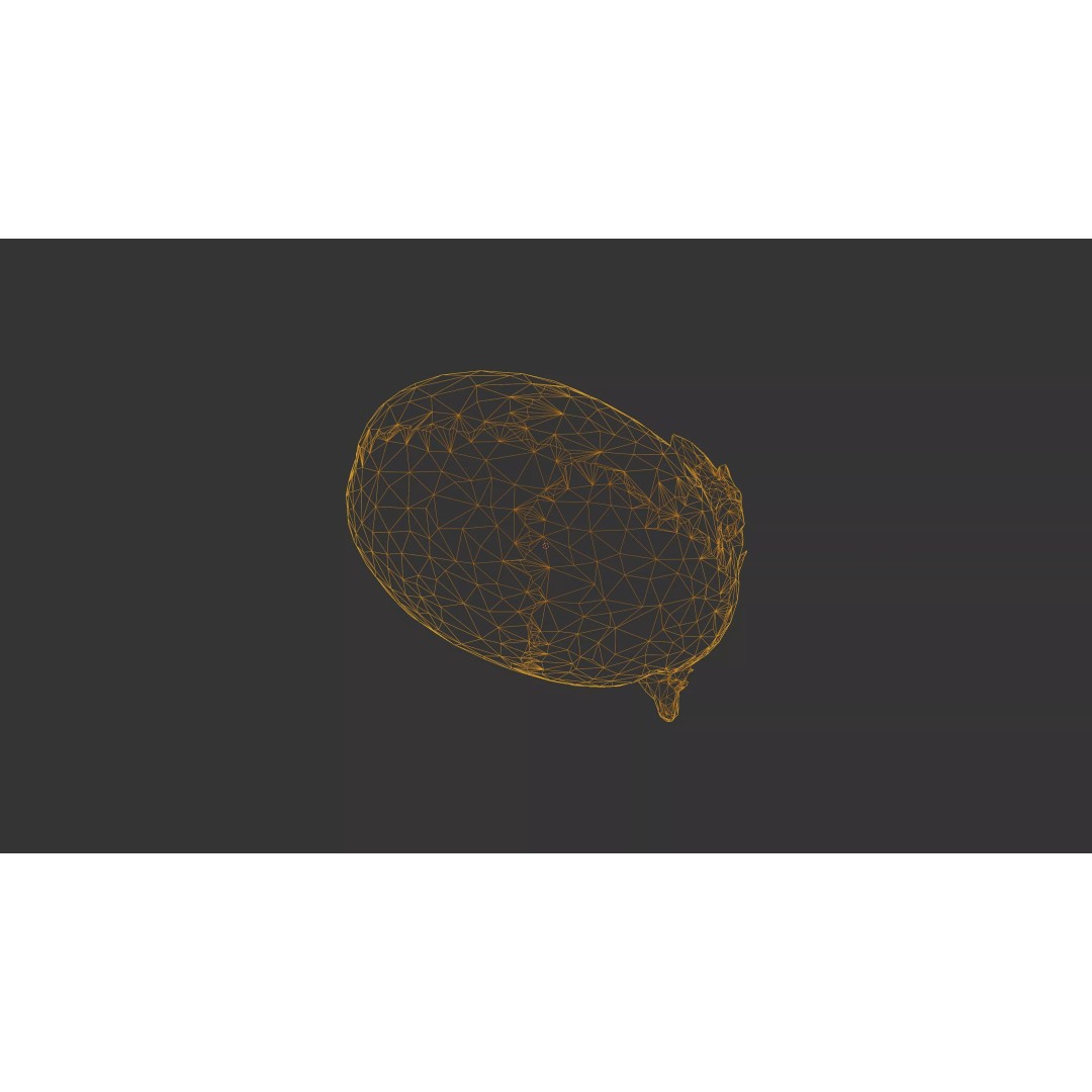 Sprouted Potato 3D Model – Photogrammetry Low-Poly Game Asset, FBX - View 41