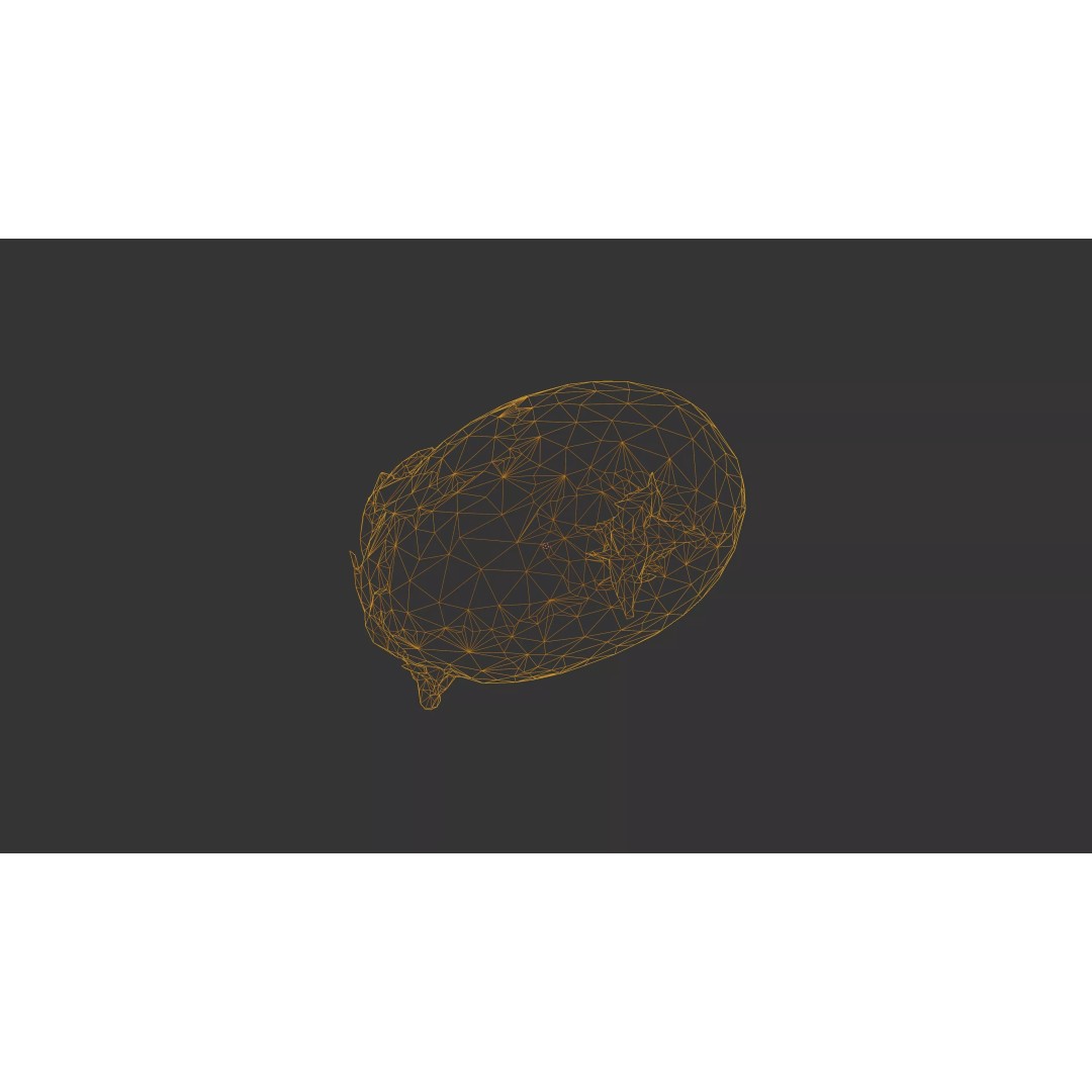Sprouted Potato 3D Model – Photogrammetry Low-Poly Game Asset, FBX - View 42