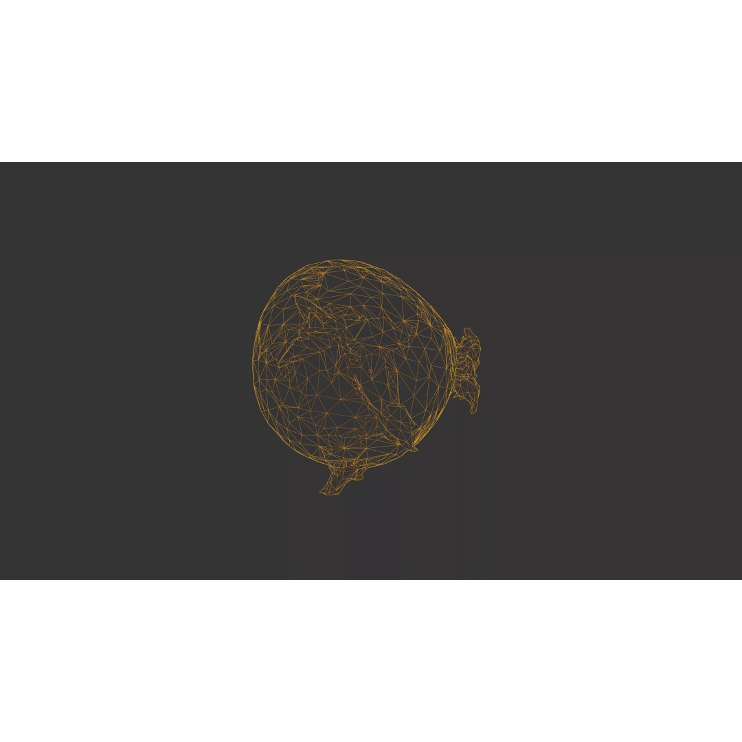 Sprouted Potato 3D Model – Photogrammetry Low-Poly Game Asset, FBX - View 44