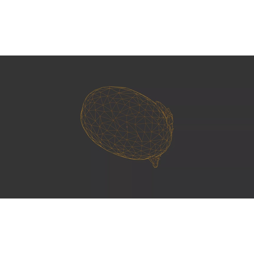 Sprouted Potato 3D Model – Photogrammetry Low-Poly Game Asset, FBX - View 45