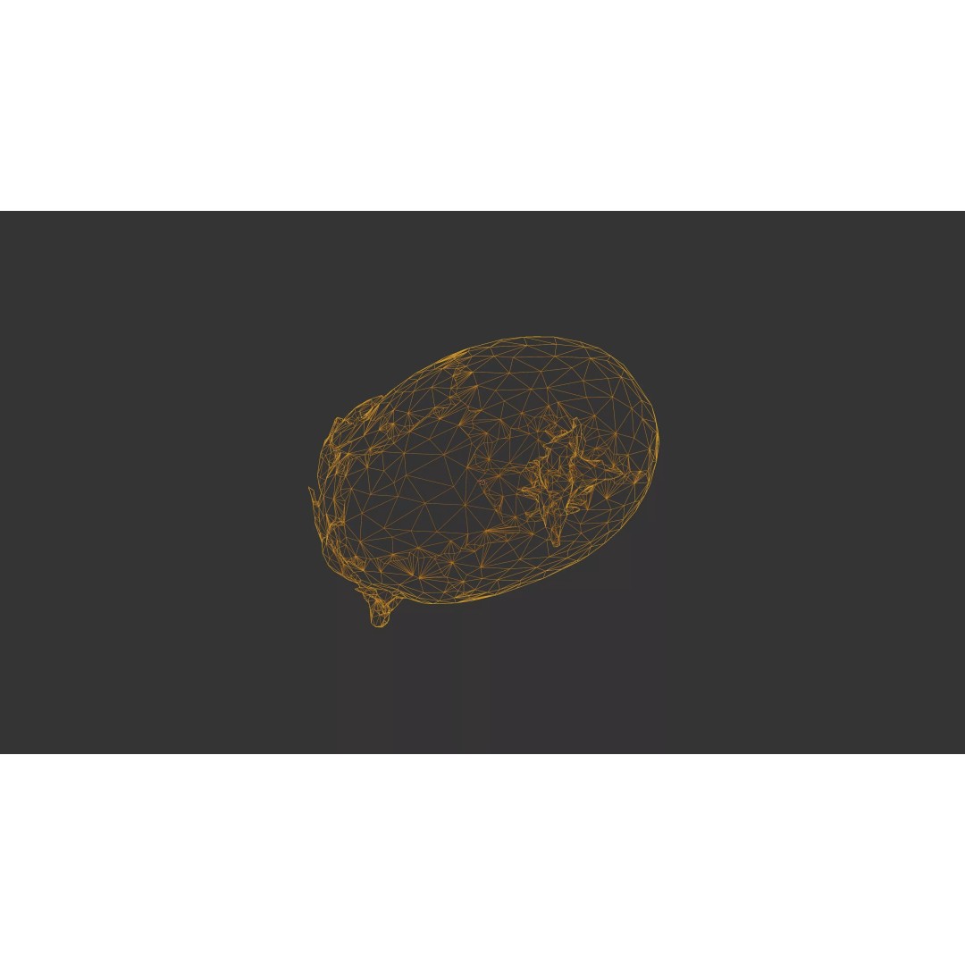 Sprouted Potato 3D Model – Photogrammetry Low-Poly Game Asset, FBX - View 46