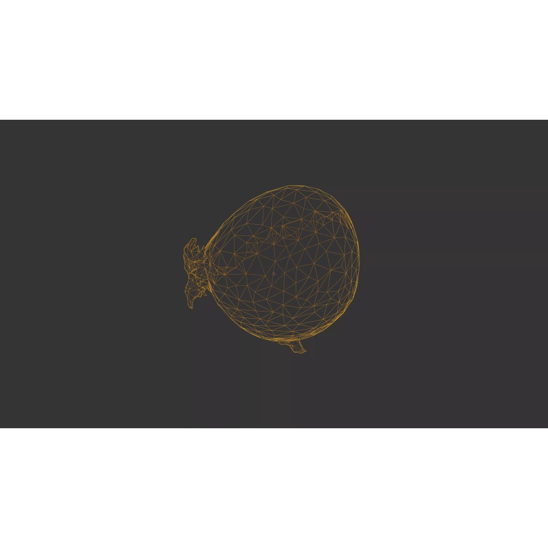 Sprouted Potato 3D Model – Photogrammetry Low-Poly Game Asset, FBX - View 47