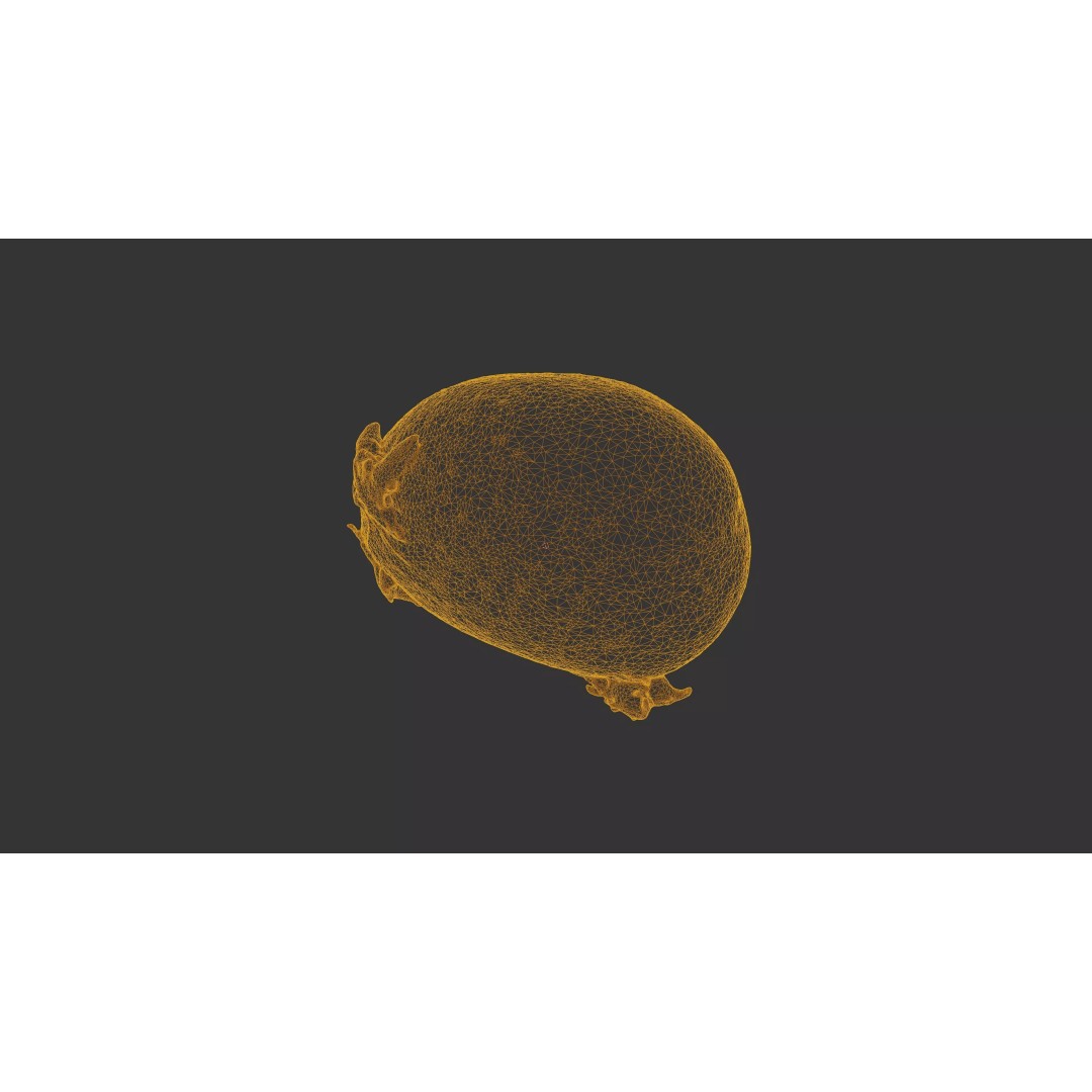 Sprouted Potato 3D Model – Photogrammetry Low-Poly Game Asset, FBX - View 49