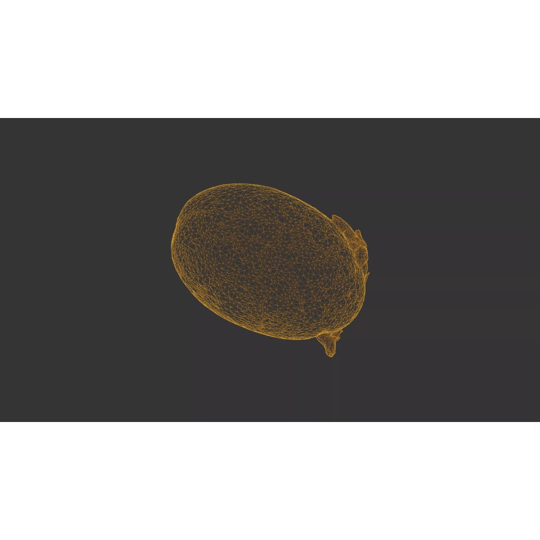 Sprouted Potato 3D Model – Photogrammetry Low-Poly Game Asset, FBX - View 51