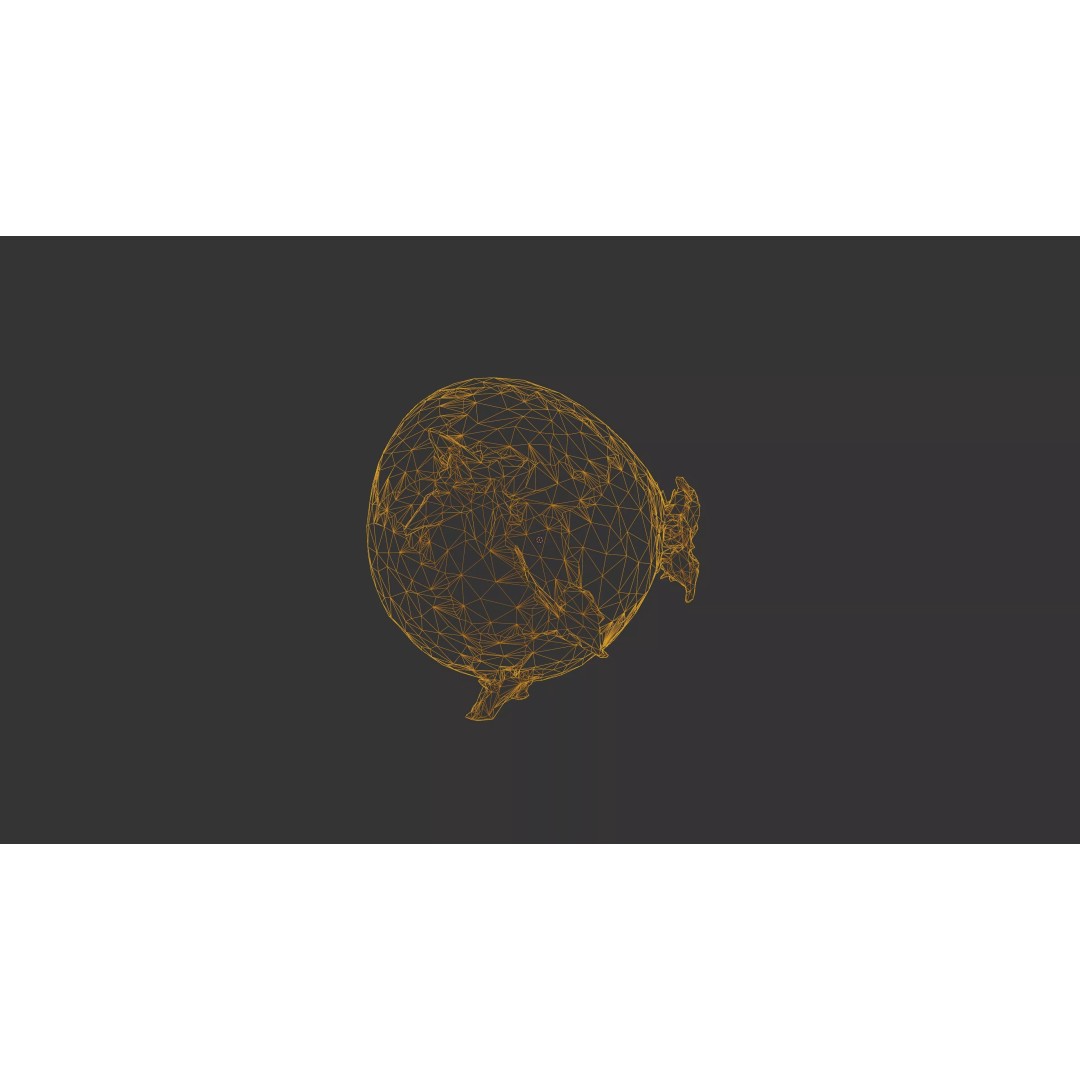 Sprouted Potato 3D Model – Photogrammetry Low-Poly Game Asset, FBX - View 52