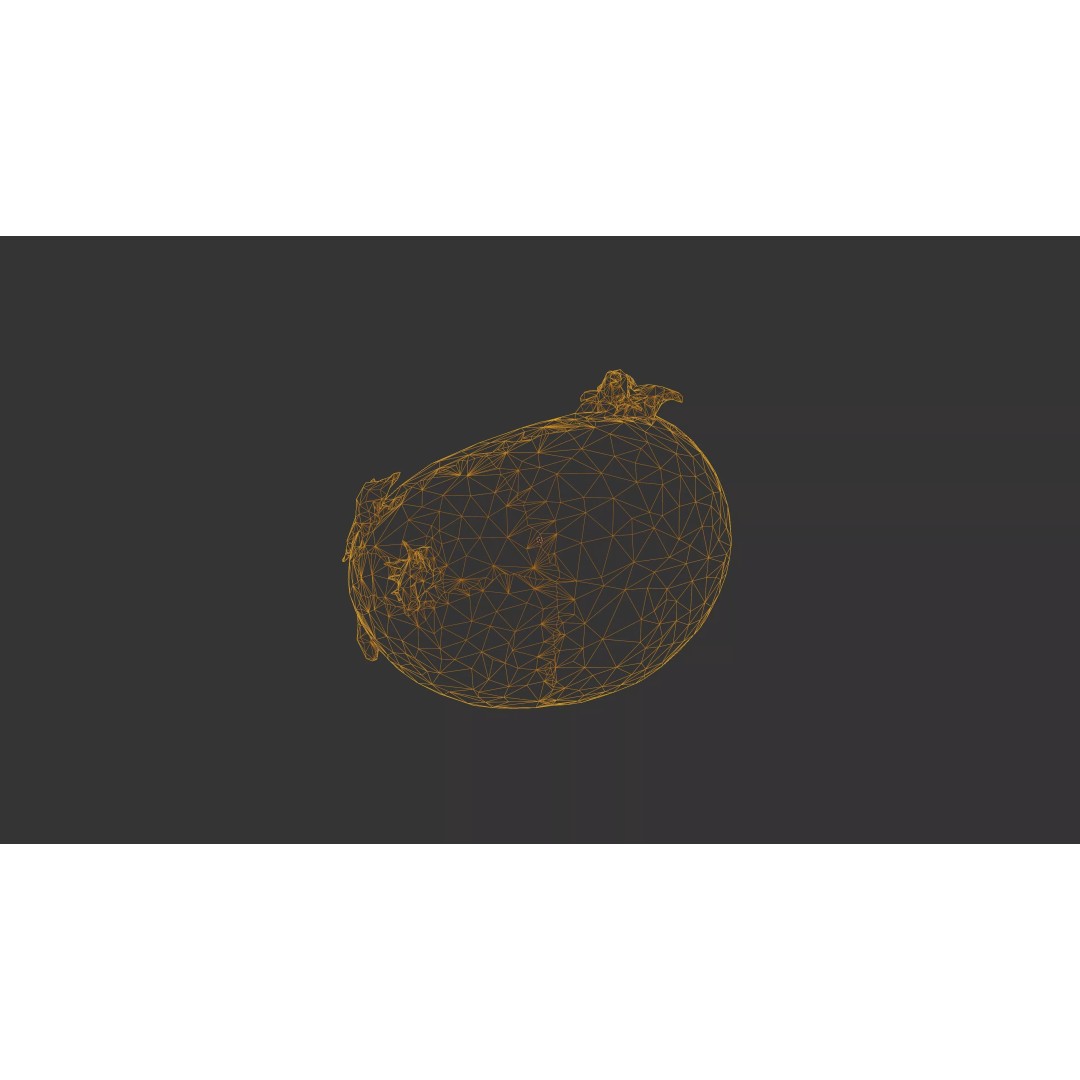 Sprouted Potato 3D Model – Photogrammetry Low-Poly Game Asset, FBX - View 53