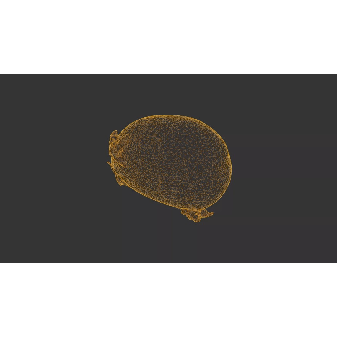 Sprouted Potato 3D Model – Photogrammetry Low-Poly Game Asset, FBX - View 54